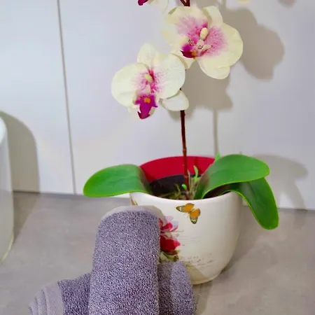 Guacimara Apartment *